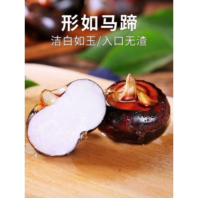 农家新鲜马蹄应季荸荠蔬菜荸荠批发10斤一整箱马【新疆西藏专链】图5
