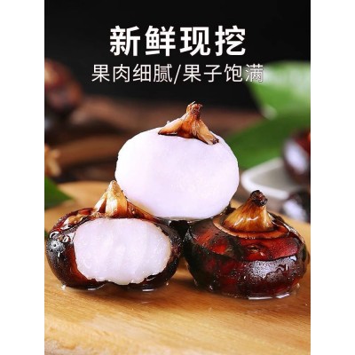农家新鲜马蹄应季荸荠蔬菜荸荠批发10斤一整箱马【新疆西藏专链】图2