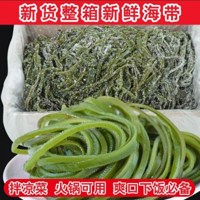海带丝干货新鲜烘干海带无沙鲜嫩盐渍荣成干整箱批发量大从优包邮图2