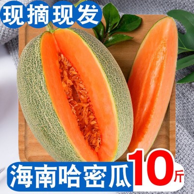 哈密瓜批发【推荐】海南新鲜水果西州蜜网纹甜瓜当季晓密一件代发