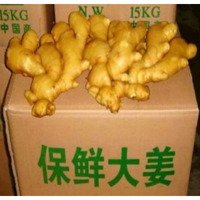 厂家直供 生姜山东生姜基地常年供应老姜 面姜 嫩姜品种 全国发货图3