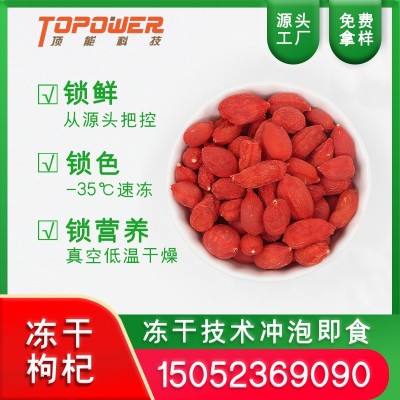 现货批发冻干红枸杞大颗粒宁夏红枸杞泡茶养生散装供应冻干红枸杞图3