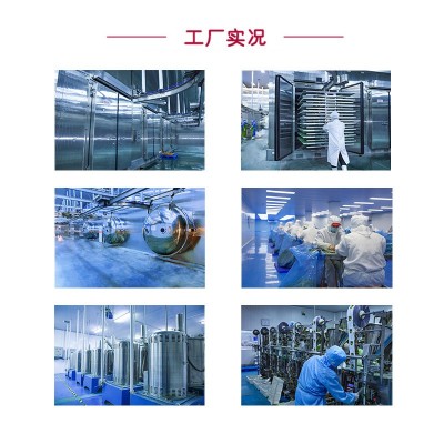 【现货批发】AD脱水裙带菜配料无沙免洗螺旋藻海带丝AD脱水裙带菜图5