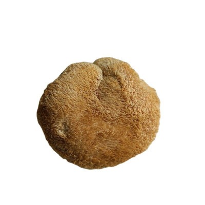 福建古田 猴头菇刺猬菌批发 猴头菌煲汤食材菌菇干货批发猴菇散货图5