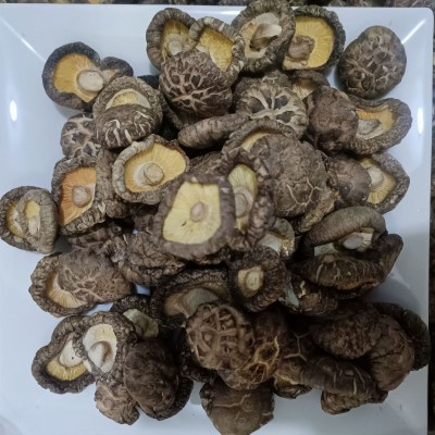 福建古田精选3-4规格花菇人工挑选产地厚菇农家新鲜干花菇土特产图3