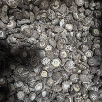 福建古田精选3-4规格花菇人工挑选产地厚菇农家新鲜干花菇土特产图4