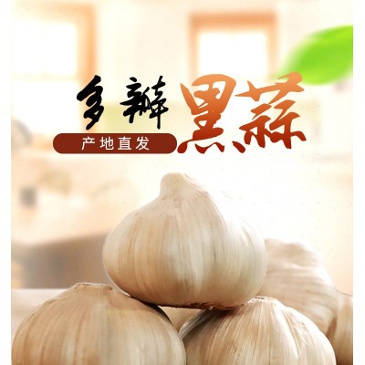 山东金乡厂家现货批发黑蒜多瓣足期发酵250克装肉多颗粒均匀黑蒜图4