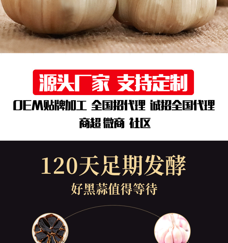 多瓣黑蒜真空装源文件_02.jpg