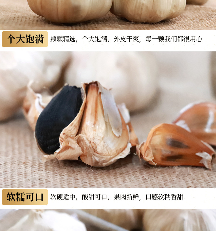多瓣黑蒜真空装源文件_06.jpg