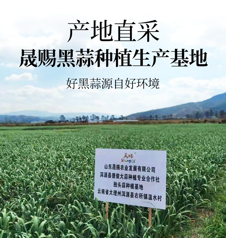黑蒜罐装详情源文件_05.jpg