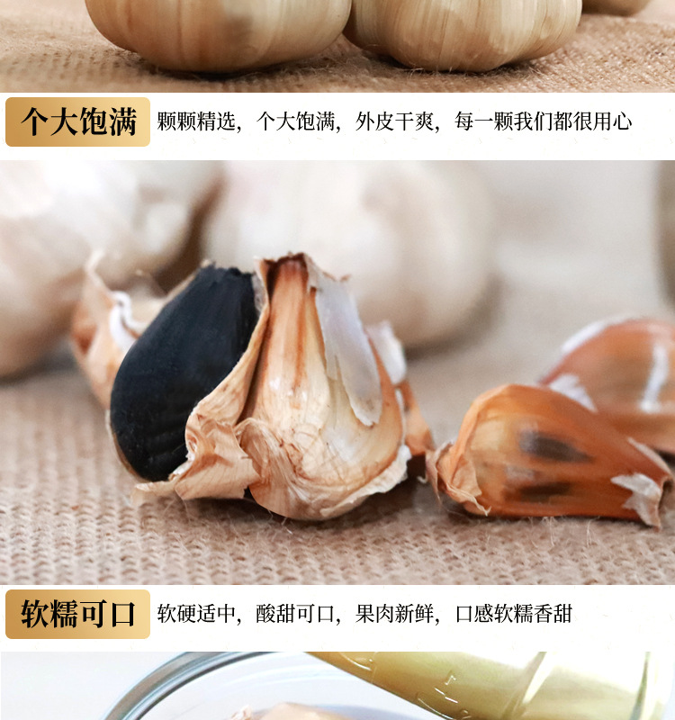 多瓣黑蒜真空装源文件_06.jpg