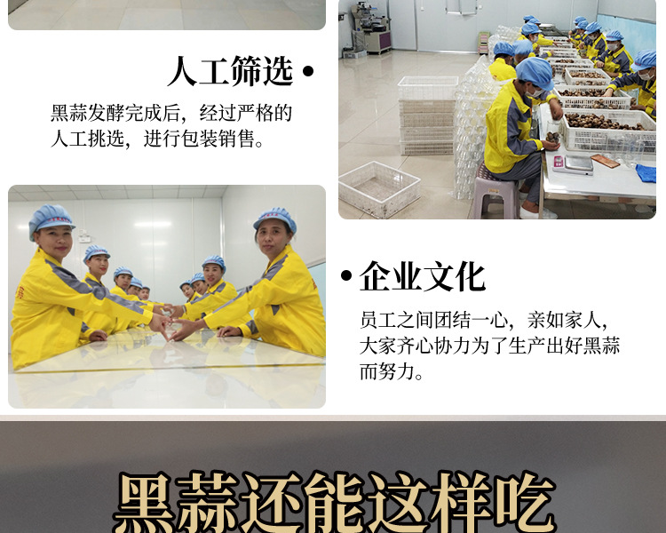 多瓣黑蒜真空装源文件_12.jpg
