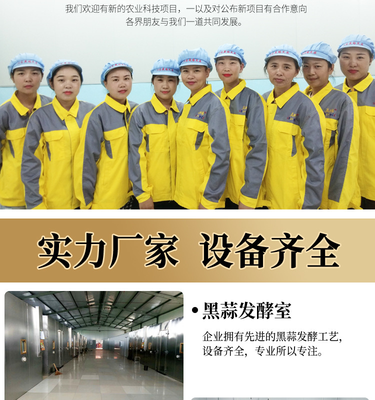 多瓣黑蒜真空装源文件_11.jpg