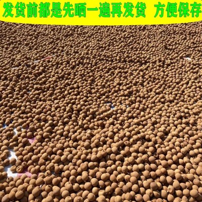 产地新货10a大果 高州特产龙眼干桂圆干干贵园带壳小核肉厚5 00g袋图5