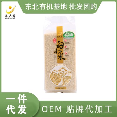 厂家批发温达香有机白小米400g东北小米月子米新米团购五谷杂粮