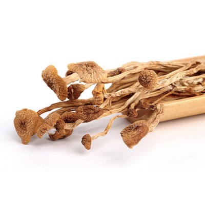 广昌茶树菇 出口 茶薪菇 真正冰菇苞 不开伞 盖嫩柄脆200克/包图2