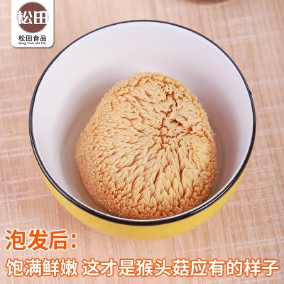 古田食用菌猴头菇 剪脚肉厚长毛煲汤农家猴头菌 磨粉原料源头批图2