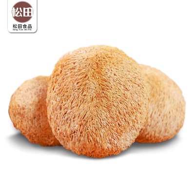 古田食用菌猴头菇 剪脚肉厚长毛煲汤农家猴头菌 磨粉原料源头批图4