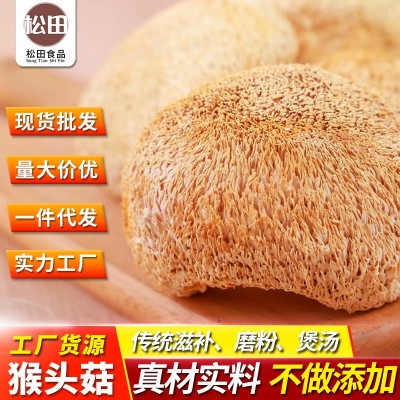 古田食用菌猴头菇 剪脚肉厚长毛煲汤农家猴头菌 磨粉原料源头批