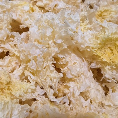 雪花银耳干货 提取多糖植物蛋白化妆品面膜配料 南北通货源头厂商图3