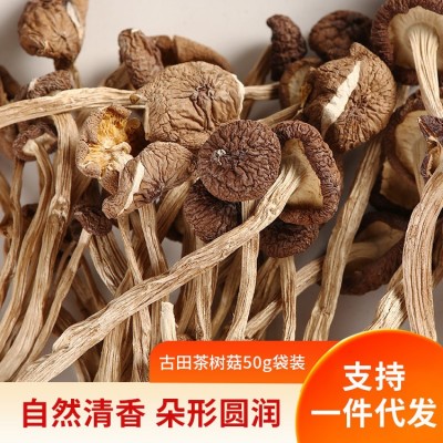 古田茶树菇干货不开伞茶树菇袋装菌汤包原料煲汤厂家一件代发