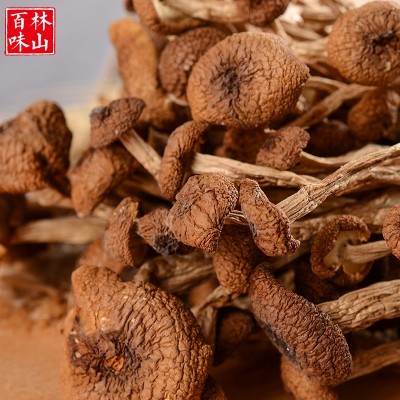 古田特产 食用菌干货500g 不开伞茶树菇 原产地厂家批发直销图5