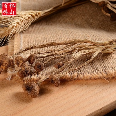 古田特产 食用菌干货500g 不开伞茶树菇 原产地厂家批发直销图3