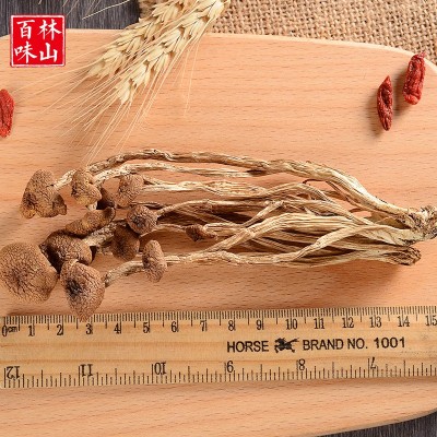 古田特产 食用菌干货500g 不开伞茶树菇 原产地厂家批发直销图2