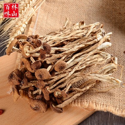 古田特产 食用菌干货500g 不开伞茶树菇 原产地厂家批发直销