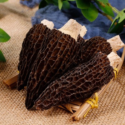 产地直销2023云南头茬羊肚菌干货大量批发250g500g滋补煲汤料食材图4
