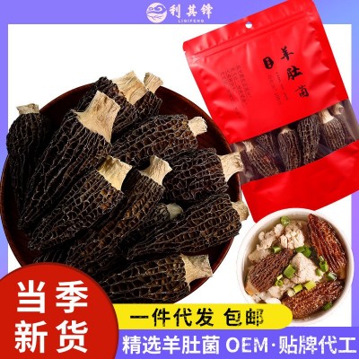 一件代发 2023云南剪柄头茬羊肚菌干货大量批发50g100g菌菇煲汤料