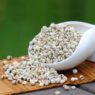 想真有机小薏米仁700g 厂价批发薏仁 五谷杂粮食品
