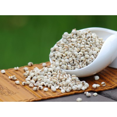 想真 有机薏米仁 小新货 厂价批发薏仁 五谷杂粮食品图4