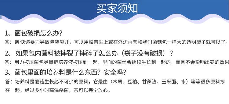 平菇新2_13