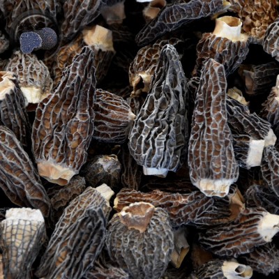 兴农产品干羊肚菌 散装 云南羊肚菌 菌菇 干货山珍黑羊肚菌图3