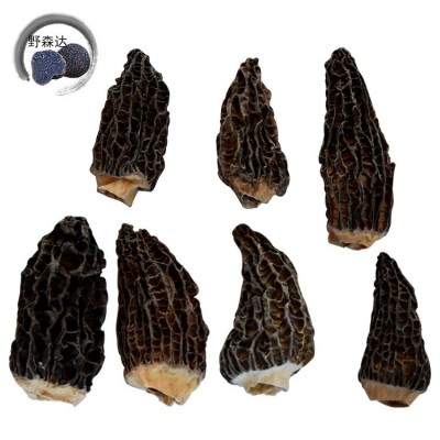 兴农产品干羊肚菌 散装 云南羊肚菌 菌菇 干货山珍黑羊肚菌图5