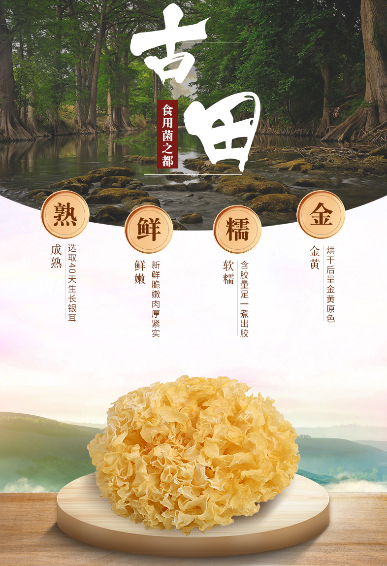 中银耳_02.jpg