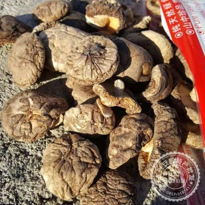 散装大兴安岭烘干货剪根椴木食用菌类肉厚冬蘑浓料理香菇配送袋装图4