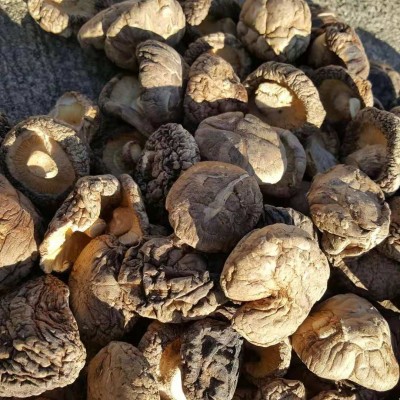 散装大兴安岭烘干货剪根椴木食用菌类肉厚冬蘑浓料理香菇配送袋装图3