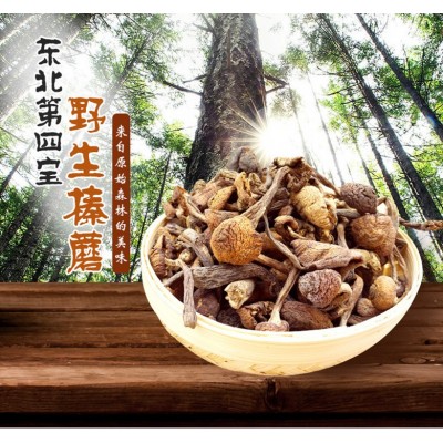 产地散装大兴安岭野生榛蘑小丁野东北小鸡炖食用菌剪根干货头