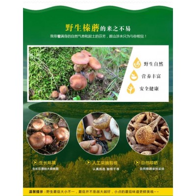 产地散装大兴安岭野生榛蘑小丁野东北小鸡炖食用菌剪根干货头图3