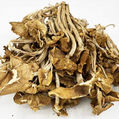 古田开伞茶树菇500g土杨树菇食用菌干货批发餐饮商用柳松菇现货图3