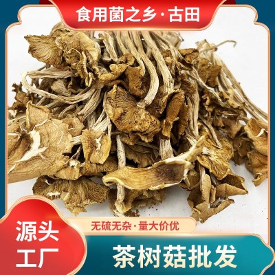 古田开伞茶树菇500g土杨树菇食用菌干货批发餐饮商用柳松菇现货