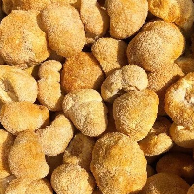 产地直供古田猴头菇500g食用猴头菌散装新鲜刺猬菌干菌菇现货批发图2