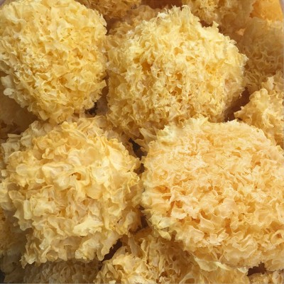 古田新货大朵银耳干货无硫软糯易出胶精选白木耳批发支持一件代发