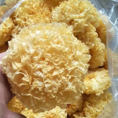古田新货大朵银耳干货无硫软糯易出胶精选白木耳批发支持一件代发图2