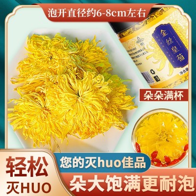 金丝皇菊 一朵一杯 菊花茶密封罐装皇菊花草茶枸杞菊花茶搭配黄菊