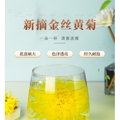 金丝皇菊大朵 一朵一杯菊花茶黄菊罐装皇菊散装批发员工福利好礼图2