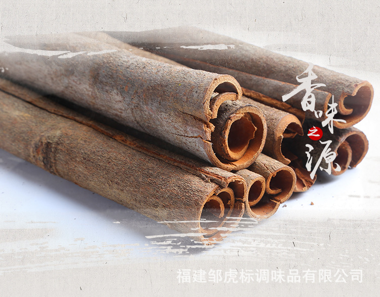 活动_06.jpg