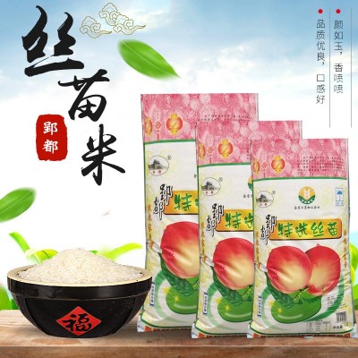 寿县大米红松花郢都特选丝苗米5kg/10斤丝苗米籼米长粒香米图1